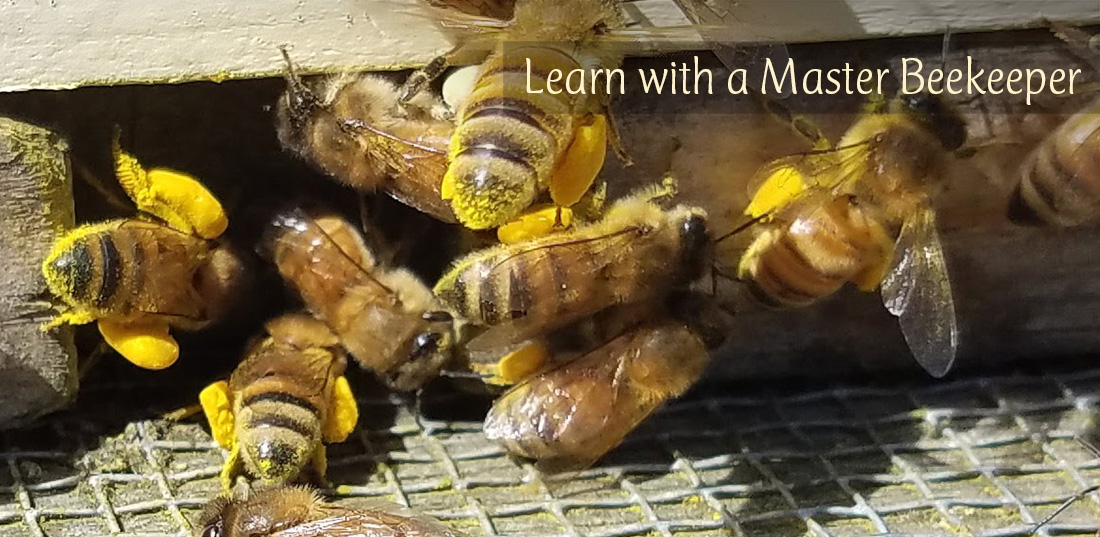 Learn with a Master Beekeeper