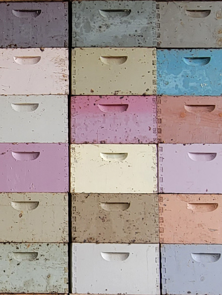 multi-colored hive bodies