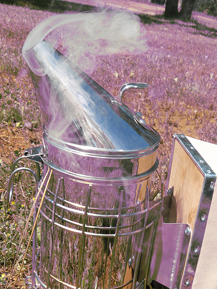smoker used for beekeeping