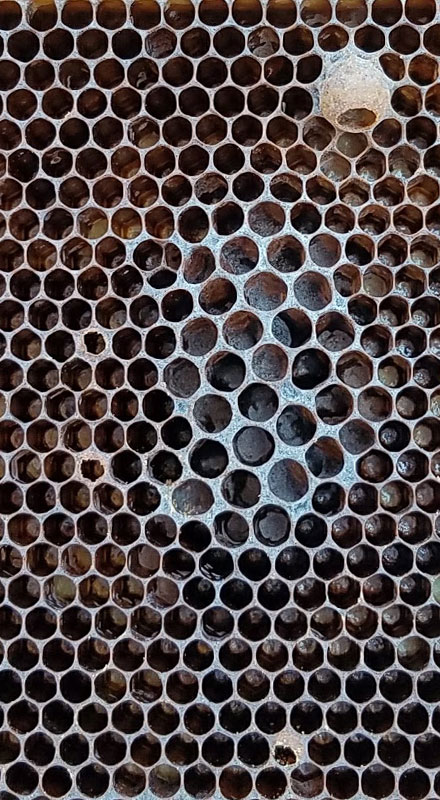 dark com with dark drone comb